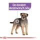 Royal Canin CCN Sterilised Loaf - wet food for adult dogs - 12x85g Royal Canin CCN Sterilised Loaf - wet food for adult dogs - 12x85g
