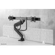 Neomounts NM-D775DXBLACK Monitor arm 10-32