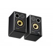 GENESIS ARSEN 402BT Bronze 2-way Black Wired & Wireless 60 W