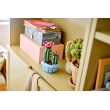 LEGO BOTANICALS 11509 Flowering Cactus