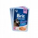 BRIT Premium by Nature Sterilised Plate pouches in sauce mix of flavors - wet food for cats - 12x85g BRIT Premium by Nature Sterilised Plate pouches in sauce mix of flavors - wet food for cats - 12x85g