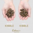 EDEN 80/20 Fish Cuisine Medium & Large - dry dog food - 2kg