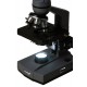 Levenhuk 320 BASE 1000x Optical microscope Levenhuk 320 BASE 1000x Optical microscope