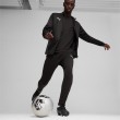 PUMA teamGOAL PUMA teamGOAL