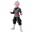 DRAGON BALL SUPER EVOLVE - ROSE GOKU BLACK