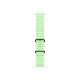 Apple Black Titanium Finish Band Green Fluoroelastomer, Titanium Apple Black Titanium Finish Band Green Fluoroelastomer, Titanium