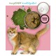 3COTY Turkey with chlorella Sterilised and overweight cats - wet cat food - 80g