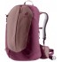 AC Lite 21 SL ashrose-cassis | universal backpack