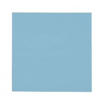 Thermal Grizzly Minus Pad Pro - 100 x 100 x 1.5 mm