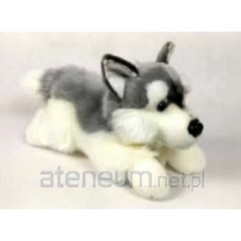 Husky Dog 30cm 02882
