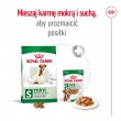 ROYAL CANIN Mini Adult +8 - dry dog food - 2 kg ROYAL CANIN Mini Adult +8 - dry dog food - 2 kg