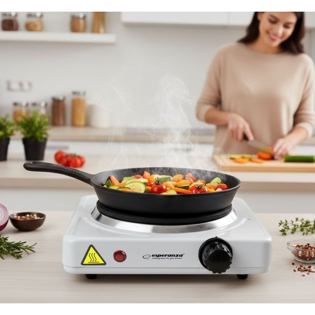 Esperanza EKH013W White Electric stove