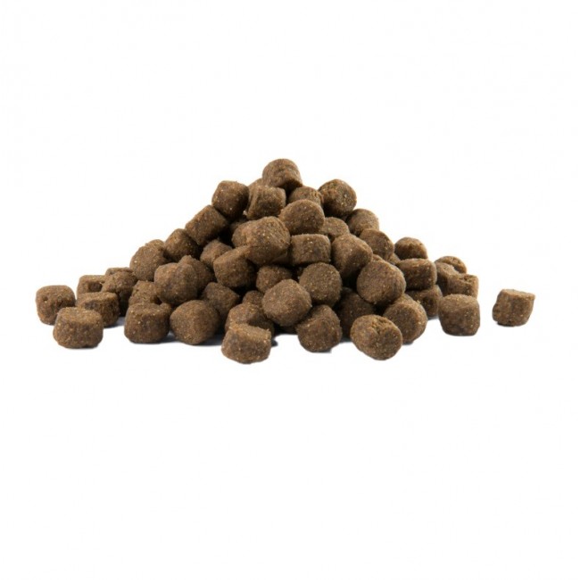 VERSELE-LAGA Opti Life Adult Digestion Medium & Maxi Lamb - dry dog food - 12,5kg