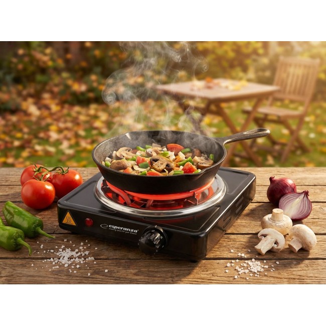 Esperanza EKH012K Black electric stove