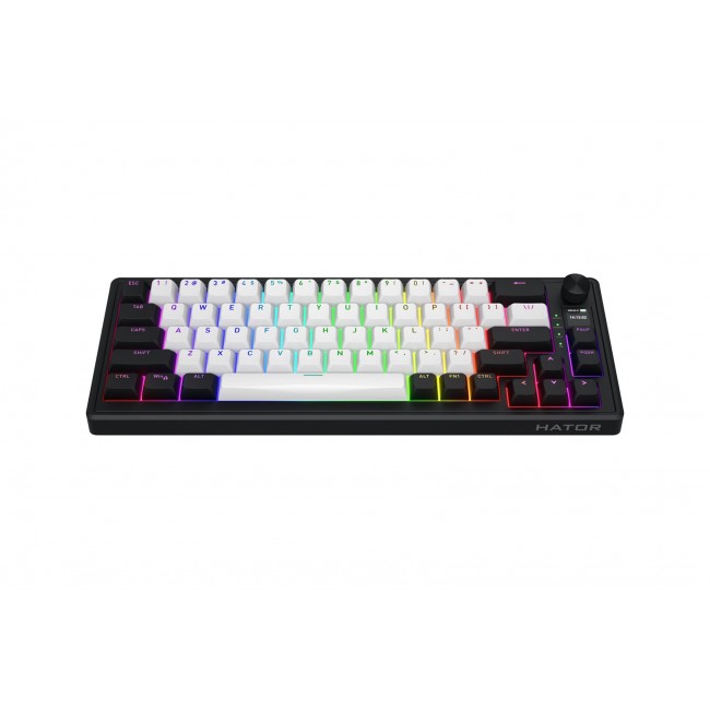 HATOR Skyfall 65 MAG ULTIMA 8K wireless keyboard Gaming USB + RF Wireless + Bluetooth QWERTY US English Black, White HATOR Skyfall 65 MAG ULTIMA 8K wireless keyboard Gaming USB + RF Wireless + Bluetooth QWERTY US English Black, White