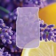 Scented candle YANKEE CANDLE DRIED LAVENDER & OAK 368 g medium