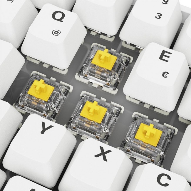Sharkoon SGK50 S4 keyboard Home USB QWERTZ German White