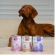 PAKA ZWIERZAKA Pepe Vet Light Mono Rabbit - wet dog food - 400g