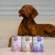 PAKA ZWIERZAKA Pepe Vet Light Rabbit - wet dog food - 400g PAKA ZWIERZAKA Pepe Vet Light Rabbit - wet dog food - 400g