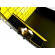C&C modular cage one-storey 4x2 + Loft 2x1 + Black ramp C&C modular cage one-storey 4x2 + Loft 2x1 + Black ramp
