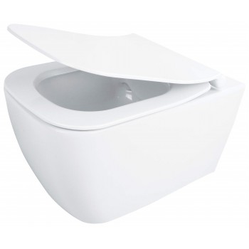 Rimless toilet