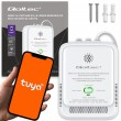 Qoltec 52654 2in1 natural gas and carbon monoxide (CO) leak detector | CH4 | CO | NG | Tuya | Wi-Fi | 85dB alarm | LED