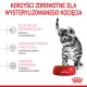 Royal Canin Kitten Sterilised cats dry food 3.5 kg Poultry Royal Canin Kitten Sterilised cats dry food 3.5 kg Poultry