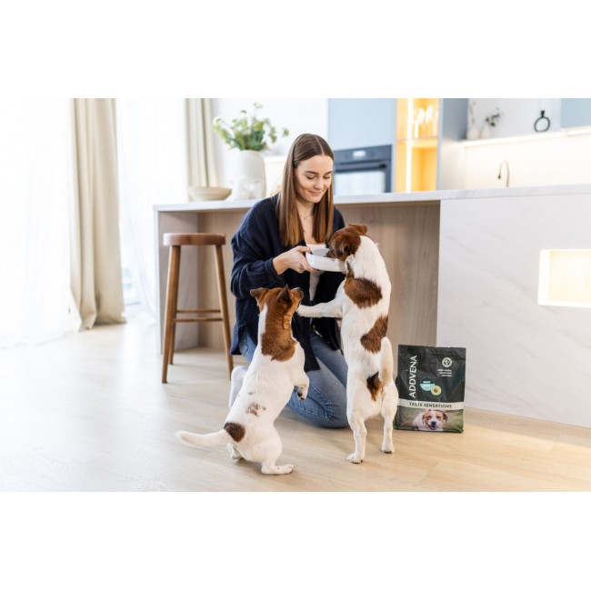 ADDVENA Taste Sensations Adult Small Turkey - dry dog food - 2,5kg
