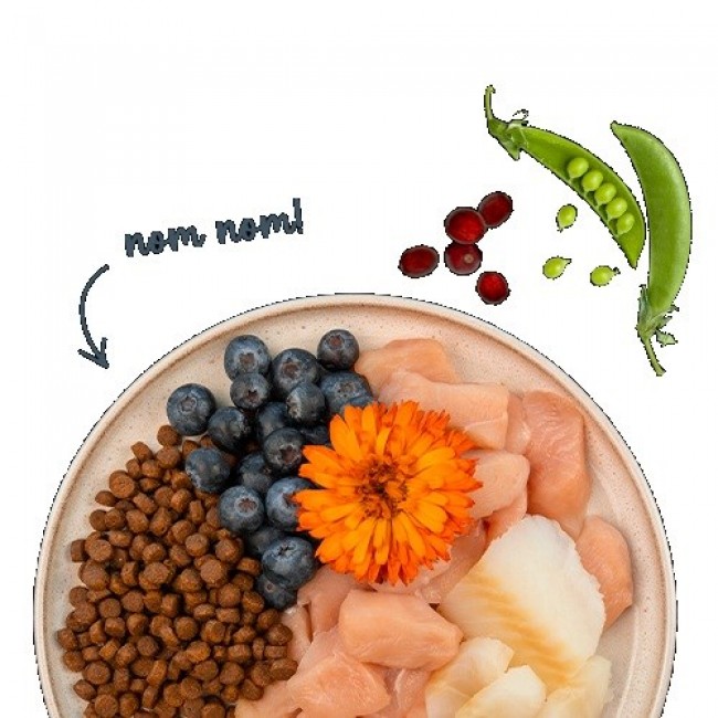 BOSCH Sanabelle Adult Trout & Blueberries - dry cat food - 2kg