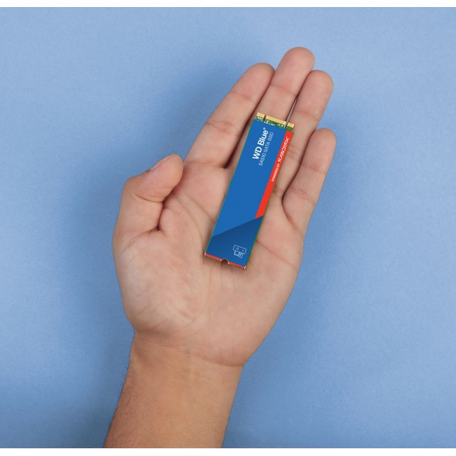 WD Blue SA510 WDS500G3B0B - 500GB - SA