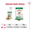 ROYAL CANIN Mini Ageing - wet dog food - 12 x 85g