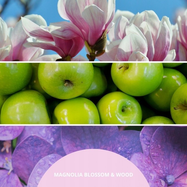 Reed Diffuser 100 ml MAGNOLIA BLOSSOM & WOOD MILLEFIORI