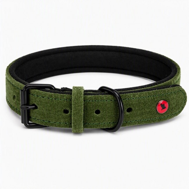 ZOLUX Komfort Leather, green color dog collar 30 cm ZOLUX Komfort Leather, green color dog collar 30 cm