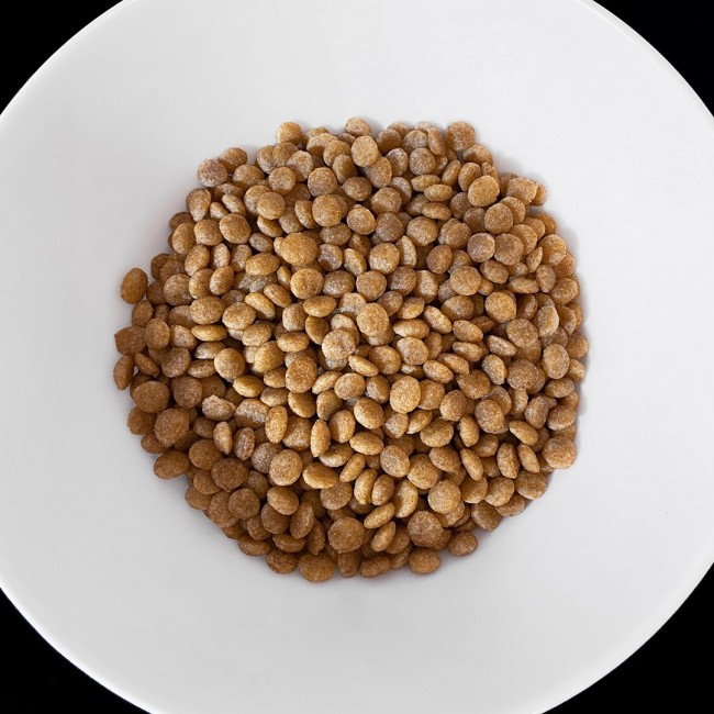 VET RESPONSE Hypoallergenic - dry cat food - 1,6kg