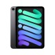 Apple iPad mini Wi-Fi + Cellular 256GB Space Gray (2021) Apple iPad mini Wi-Fi + Cellular 256GB Space Gray (2021)