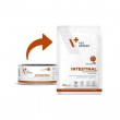 VETEXPERT Veterinary Diet Intestinal Cat - wet food for cats - 100g