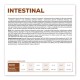 VET EXPERT Veterinary Diet Intestinal Dog - dry dog food - 12 kg
