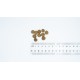 BULT Lamb - dry dog food - 12kg