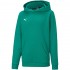 Puma teamGOAL 23 Casuals Hoody Jr Sweatshirt green 656711 05 128