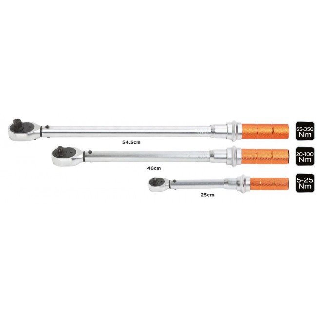 Torque wrench set 1/4