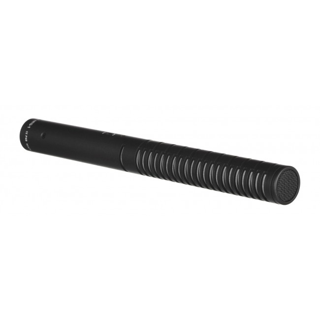 R DE NTG1 microphone Black Digital camcorder microphone