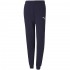 Puma Kids' Pants teamGOAL 23 Casuals Pants Jr navy blue 656713 06 140