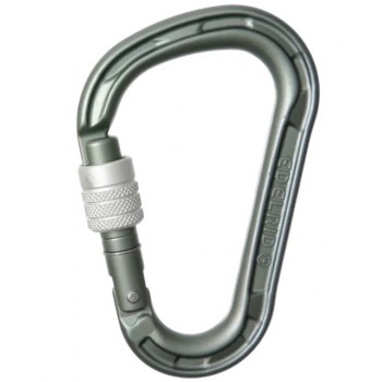 Edelrid 737990006630 climbing carabiner Locking carabiner D-shaped Aluminium Metallic 1 pc(s)
