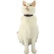 ZOLUX Chatouille blue - cat collar