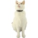 ZOLUX Chatouille blue - cat collar