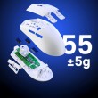 REDRAGON M918W & K1NG PRO MAX & Bia y mouse RF Wireless + Bluetooth + USB Type-C