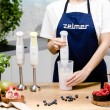 Zelmer Pulsar ZHB4561L hand blender, lime
