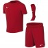 Komplet sportowy dla ma ych dzieci Nike Dri-Fit Park VIII czerwony HV8260 657 XS