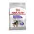 Royal Canin CCN MINI STERILISED - dry food for adult dogs - 3kg