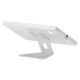 Maclean MC-475W Tablet Advertising Mount, Wall/Desk Mount with Locking Device, Compatible with 9.7 Maclean MC-475W Tablet Advertising Mount, Wall/Desk Mount with Locking Device, Compatible with 9.7